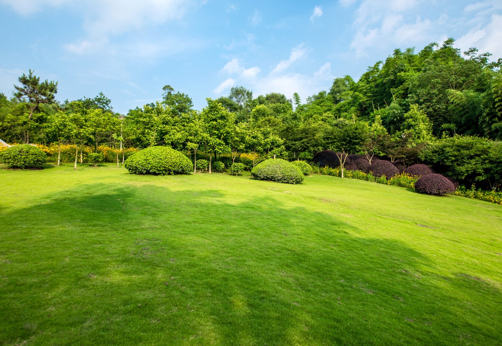 Gartenpflege